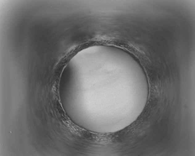 X0000081301254200701181826