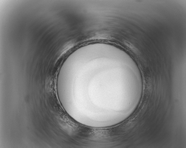 X0000081301258200701181826