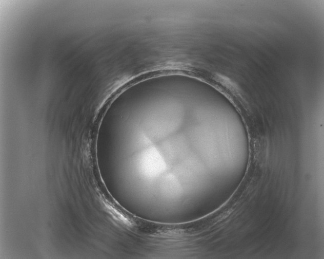X0000081301260200701181826