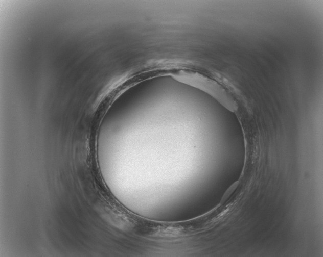 X0000081301261200701181826
