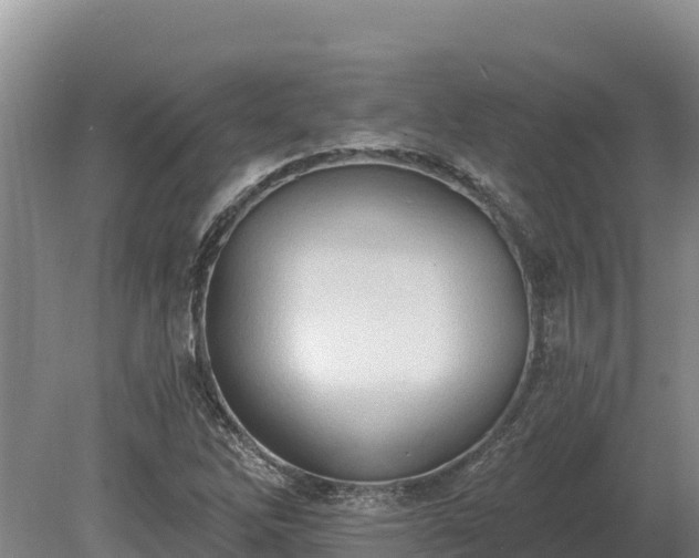 X0000081301262200701181826