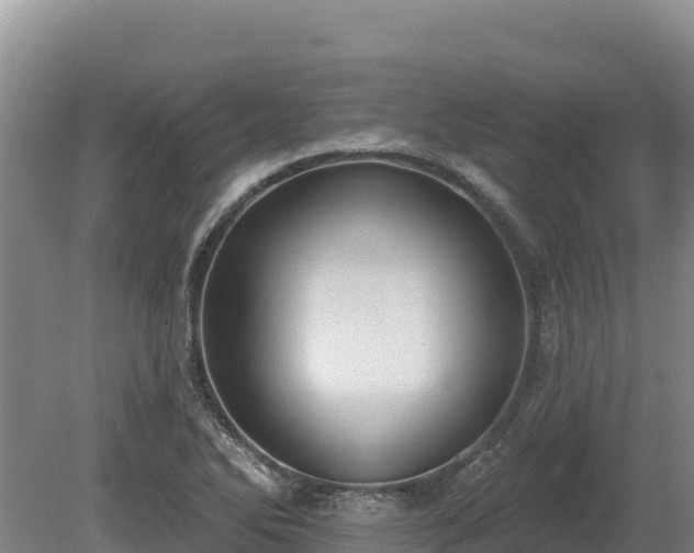 X0000081301270200701181826