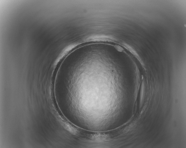 X0000081301277200701181826