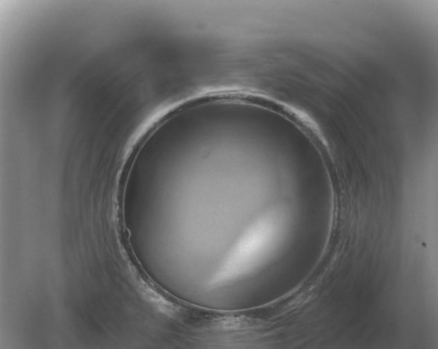 X0000081301279200701181826