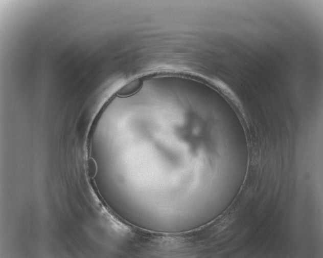 X0000081301287200701181825