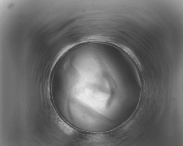 X0000081301288200701181825