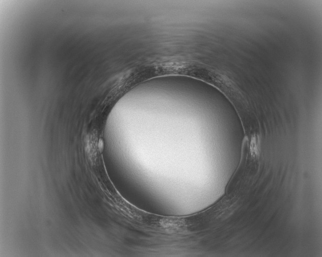 X0000081301299200701181825