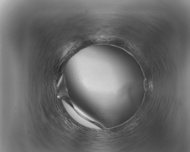 X0000081301300200701181825