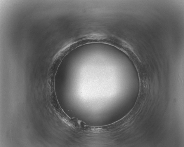 X0000081301304200701181825