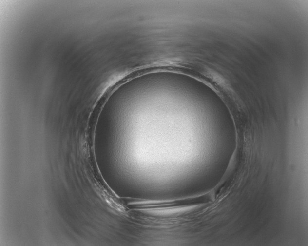 X0000081301308200701181825