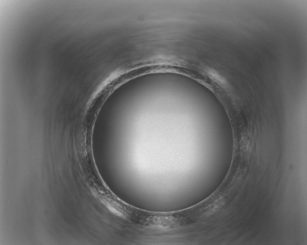 X0000081301310200701181825