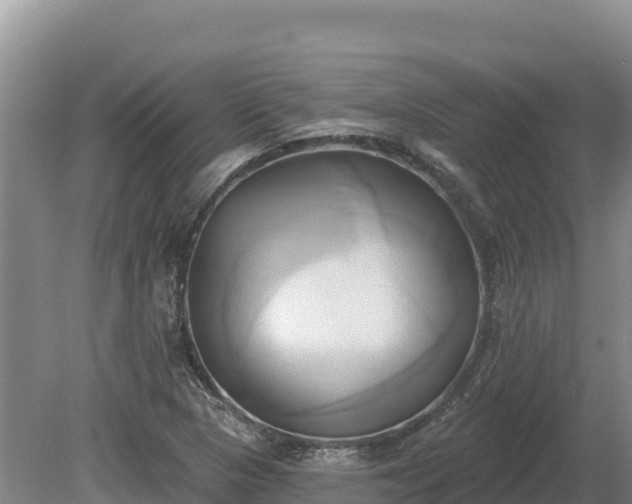 X0000081301313200701181825