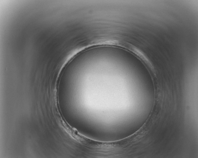 X0000081301332200701181825