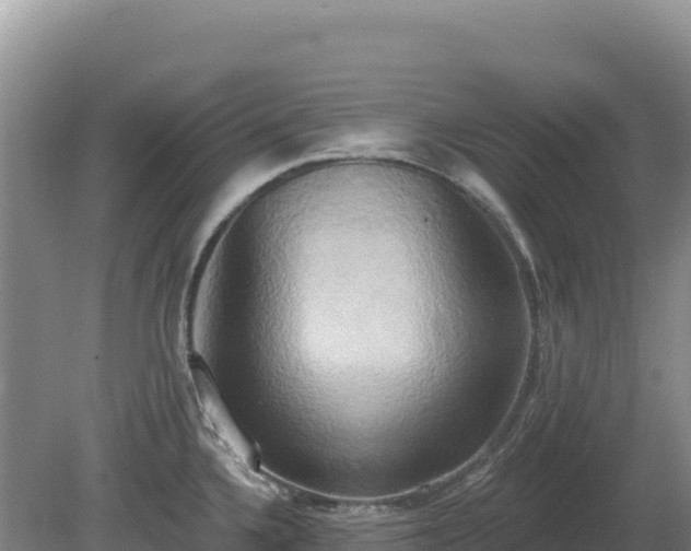 X0000081301336200701181825