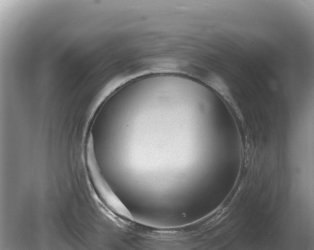 X0000081301342200701181825