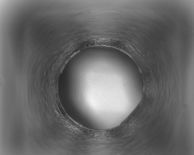 X0000081301345200701181824