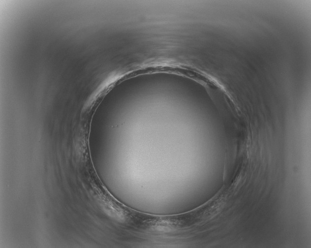 X0000081301359200701181824