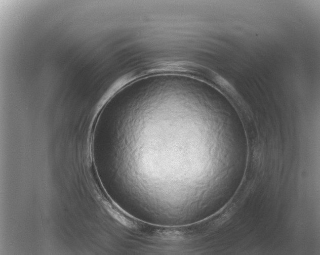 X0000081301370200701181824