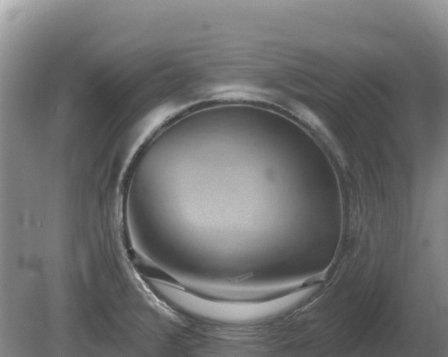 X0000081301376200701181824