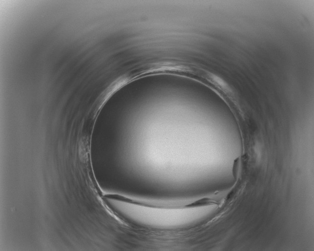 X0000081301377200701181824