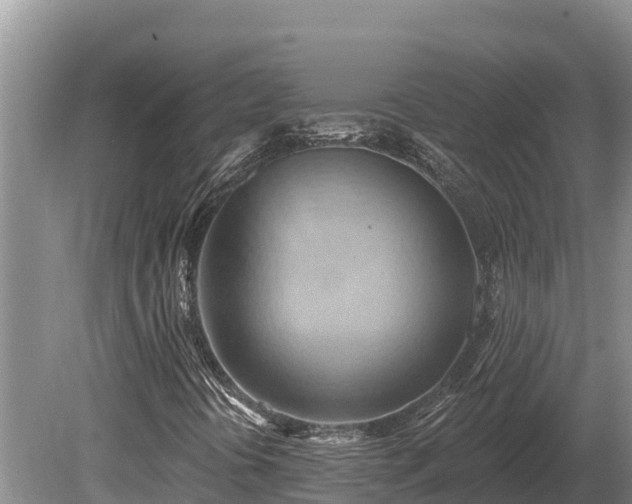 X0000081301394200701181823