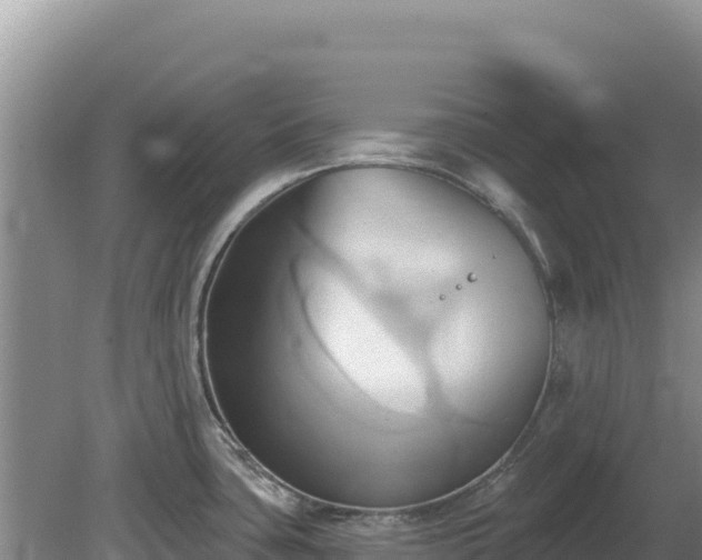 X0000081301435200701181824