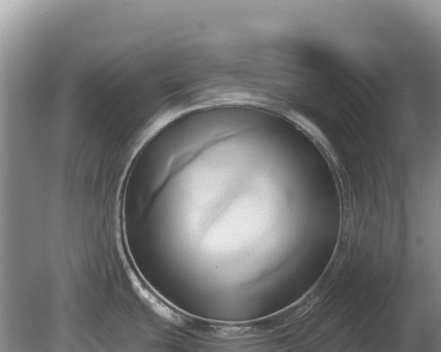 X0000081301439200701181824