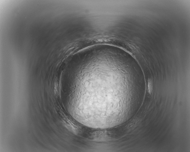 X0000081301444200701181823