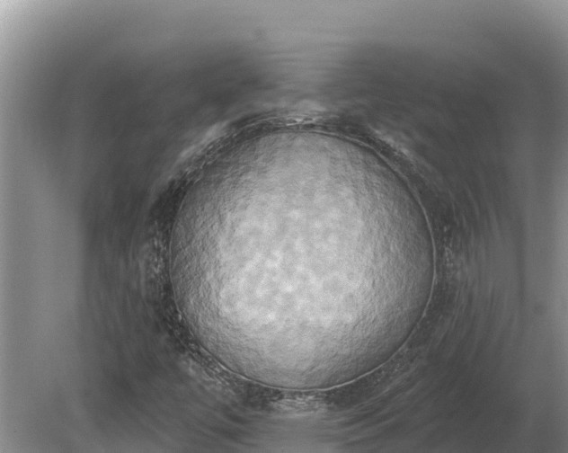 X0000081301447200701181823