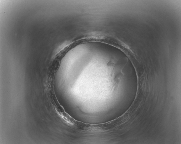 X0000081301448200701181823