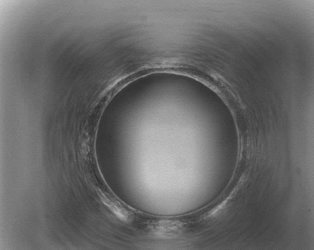 X0000081301449200701181823