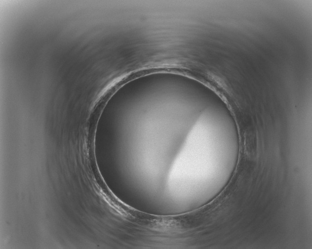 X0000081301452200701181823