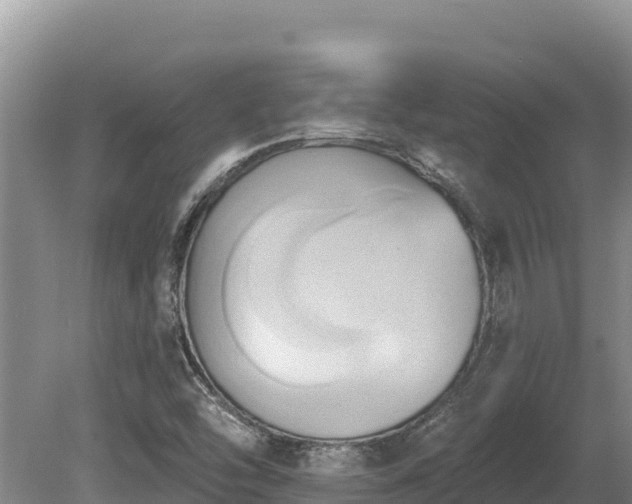 X0000081301454200701181823
