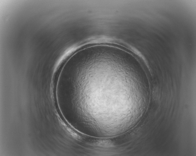 X0000081301464200701181822