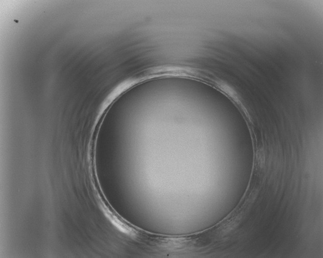 X0000081301482200701181822
