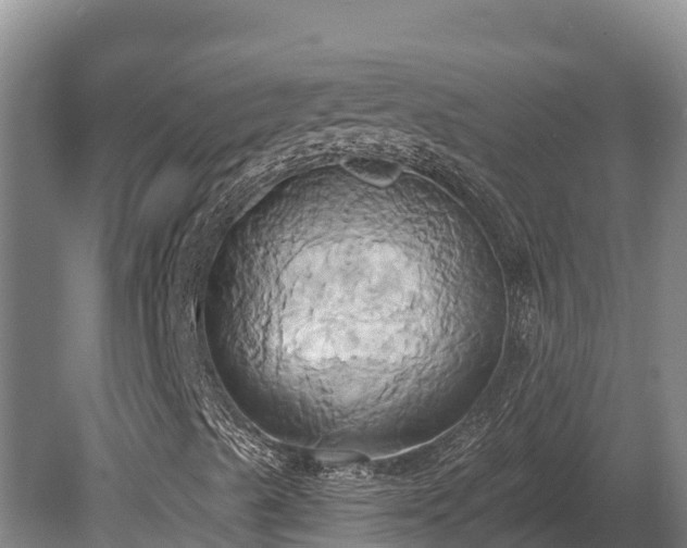 X0000081301489200701181821