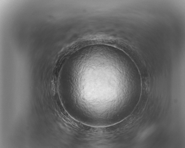 X0000081301493200701181821
