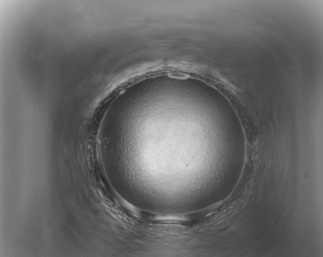 X0000081301496200701181821