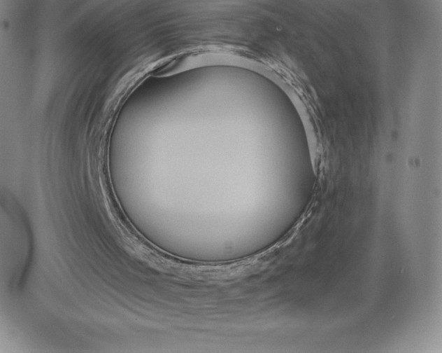 X0000081300001200701251729