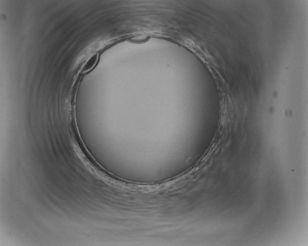 X0000081300002200701251729