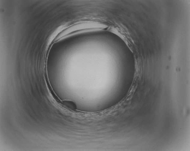 X0000081300003200701251729