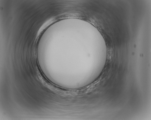 X0000081300004200701251729