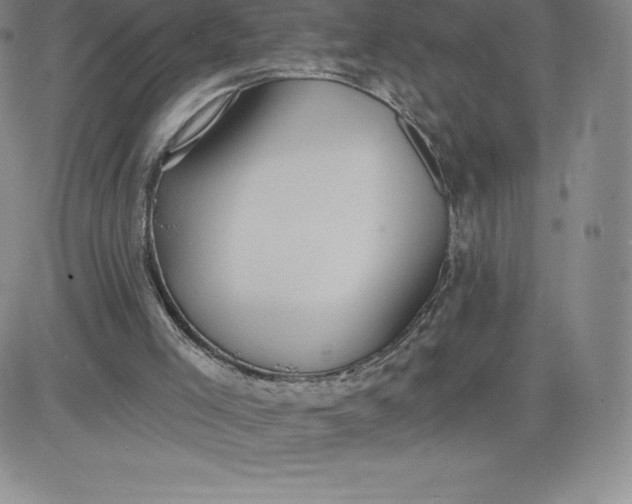 X0000081300005200701251729