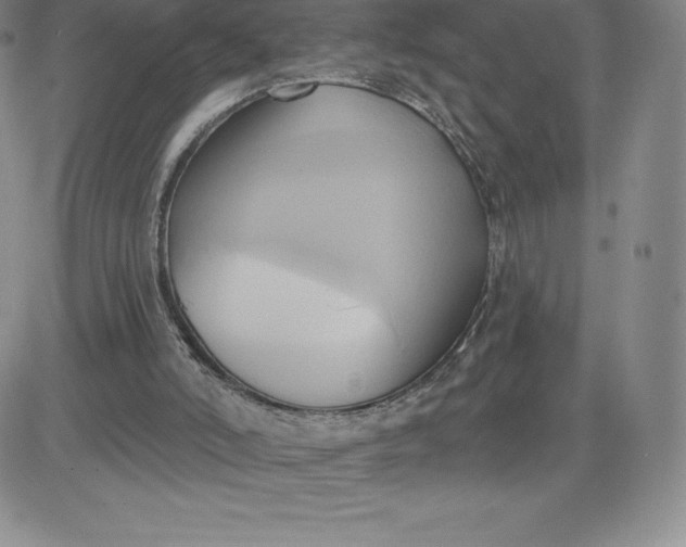 X0000081300006200701251729