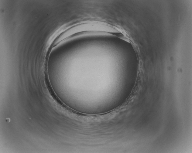 X0000081300007200701251729