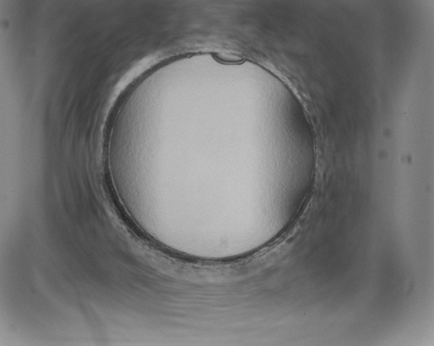 X0000081300008200701251729