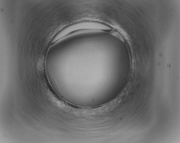 X0000081300009200701251729