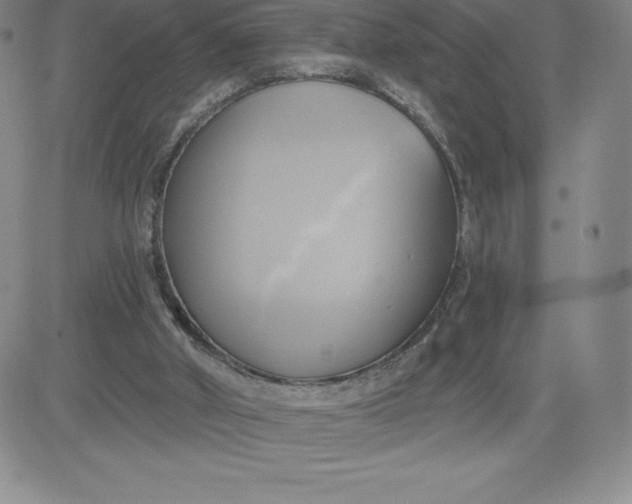 X0000081300010200701251729