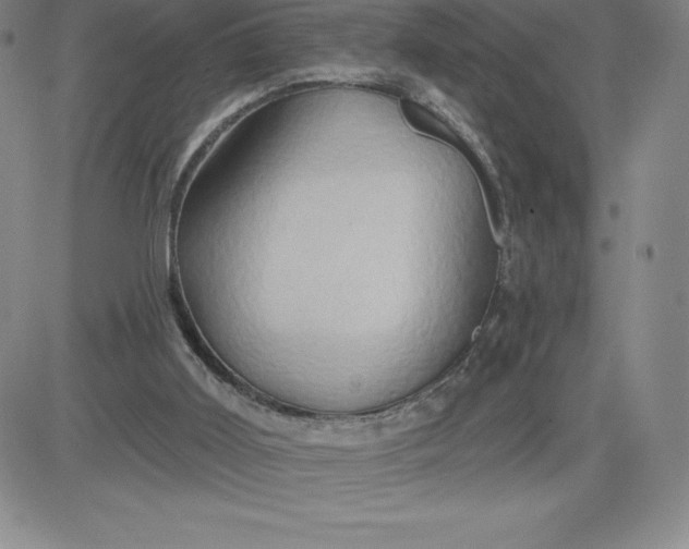 X0000081300011200701251729