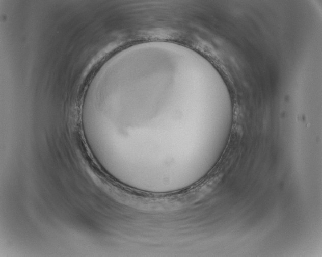 X0000081300012200701251729